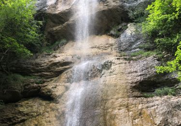 Trail Walking Saint-Vincent-de-Mercuze - Cascades de l’Alloix Montalieu - Photo