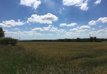 Tour Wandern Malville - Sentier du tertre - Photo