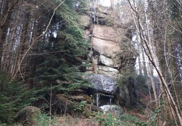 Tour Wandern Romansweiler - Heidenschloss, Rocher et Cascade Mencke Romanswillere - Photo