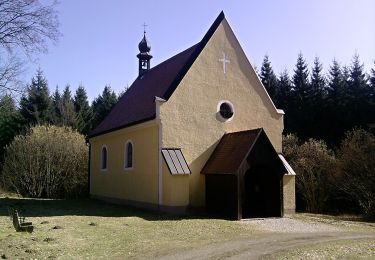 Tour Zu Fuß Tirschenreuth - Tirschenreuth – Naturfreundehaus Wernersreuth – Nikolauskirche - Photo