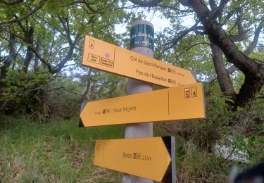 Trail Walking Bevons - BEVONS. TOUR DE PENSIER .LE COLLET. CHAPELLE ST BEVONS. PAS DE L ESSAILLON. LA FAYEE. O L M S - Photo