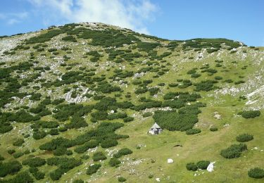 Tocht Te voet Feistritz ob Bleiburg - Hochpetzensteig - Photo