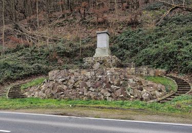 Percorso A piedi Weiler bei Bingen - Baumgeister-Tour - Photo