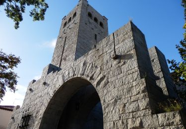 Percorso A piedi Saragozza - Torrero-Fuente de La Junquera - Photo