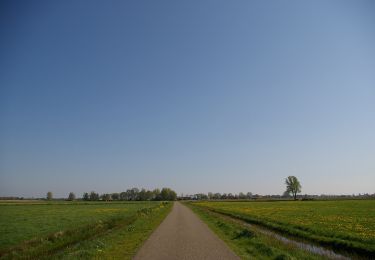 Tour Zu Fuß Steenwijkerland - WNW WaterReijk - Nederland - blauwe route - Photo