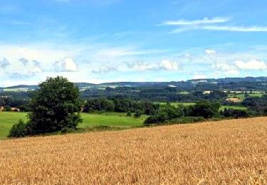 Tour Wandern Saint-Étienne-sur-Usson - St_Etienne_Usson_Suquets - Photo
