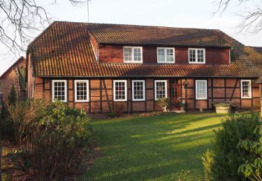 Excursión A pie Südheide - Südheide 'In einem Bächlein helle' W6k (kurze Tour) - Photo