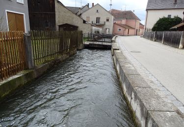 Excursión A pie Dietfurt an der Altmühl - Dietfurter Wasserwege (Stadtspaziergang) - Photo