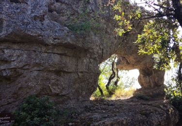 Trail Walking Solliès-Toucas - Siou Blanc - Photo