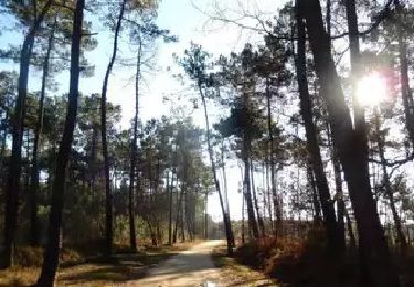 Randonnée Marche Seiches-sur-le-Loir - Boudré - Seiches sur le Loir - Photo