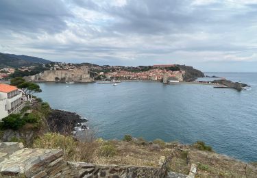 Trail Walking Argelès-sur-Mer - Argelès - port Vendres - Photo