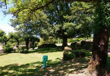 Tocht Stappen Eymoutiers - Visite d'Eymoutiers départ du camping 🏕  - Photo