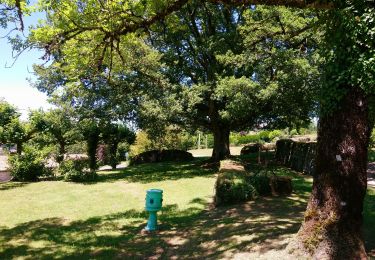 Randonnée Marche Eymoutiers - Visite d'Eymoutiers départ du camping 🏕  - Photo