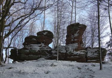 Trail On foot Niedersteinbach - Anneau jaune - Photo