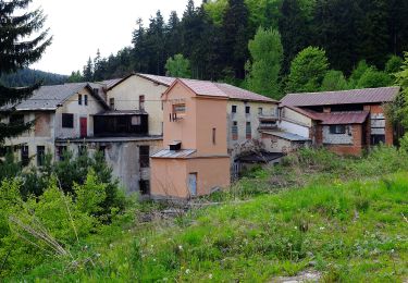 Percorso A piedi Abertamy - Plešivecká NS - Photo