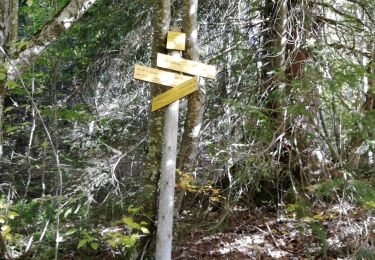 Trail Walking Apremont - col du Granier / pointe de la Gorgeat - Photo