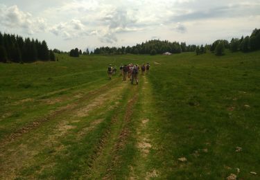 Tocht Stappen Lamoura - Jura jour 3 - Photo