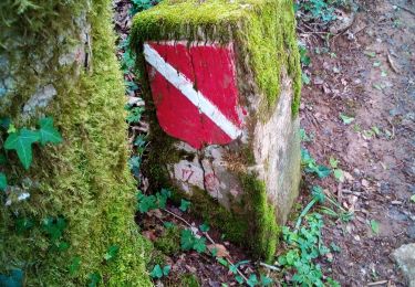 Tocht Stappen Ivrey - Mont POUPET SALINS LES BAINS - Photo