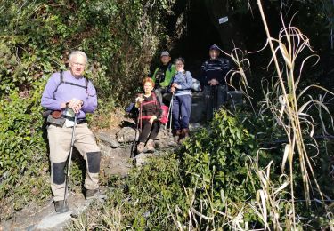 Tour Wandern Six-Fours les Plages - Le mont Salva le mai par le brusc - Photo