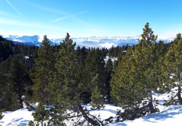 Randonnée Raquettes à neige Vaulnaveys-le-Haut - Lac Achard, col de l'infernet, col de la Botte au départ de l'Arselle - Photo