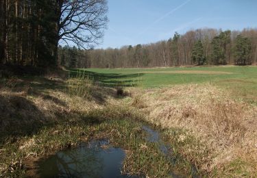 Randonnée A pied Haundorf - Fränkisches Seenland 111 - Photo