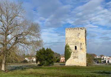 Excursión Senderismo Mérignac - Mérignac les parcs - Photo