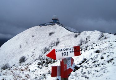 Percorso A piedi Zerba - Cerreto - Zerba - Monte Lesimina - Monte Lesima - Photo