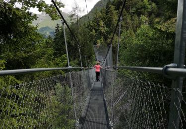 Trail Walking Savièse - bisse du Torrent-Neuf  - Photo