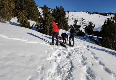Trail Snowshoes Font-Romeu-Odeillo-Via - Autour du refuge de La Calme  - Photo