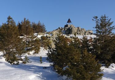 Randonnée Raquettes à neige Pont de Montvert - Sud Mont Lozère - Mas de la Barque l'Aubaret et Cassini - Photo