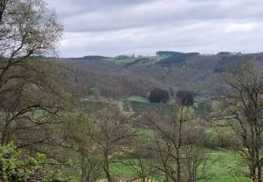 Trail Walking Vresse-sur-Semois - rando laforêt 9-04-2024 - Photo