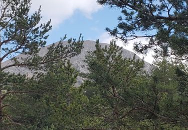 Randonnée Marche La Robine-sur-Galabre - La Robine-sur-Galabre grande cloche de barles 1024m 17kms  - Photo