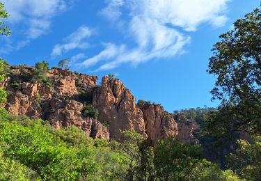 Randonnée Marche Roquebrune-sur-Argens - La Bouverie - Gorges du Blavet - Grotte du Muéron - Photo