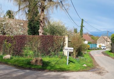 Tour Rennrad Paron - 167 050 Les Verdiers-01 - Photo