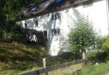 Tour Wandern Andenne - 20190702 Kevret - Photo