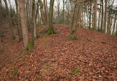 Tocht Te voet Tettnang - Unterwolfertsweiler-Gitzensteig-Rattenweiler - Photo