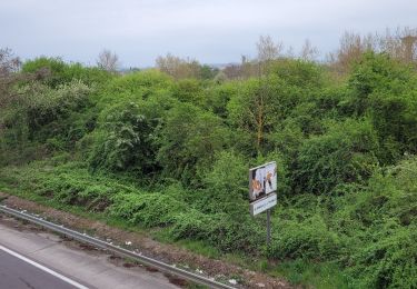 Trail Road bike Saulny - maizieres  - Photo