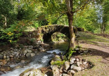 Randonnée Marche Bédeilhac-et-Aynat - au pied du Calames - Photo