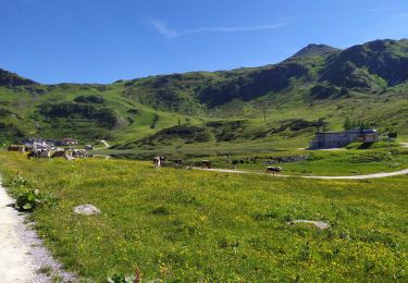 Percorso Marcia Untertauern - Seekarspitze - Photo