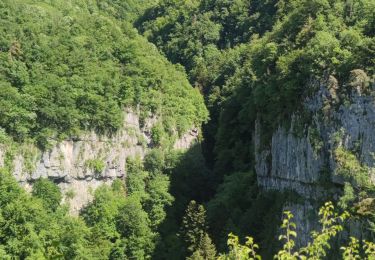 Trail Walking Saint-Christophe - La Voie Sarde - 29 mai 2025 - Photo