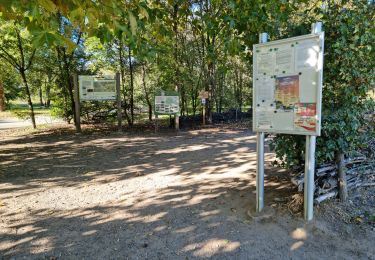 Trail Walking La Ville-aux-Dames - Île de la Métairie à La Ville-aux-Dames - Photo