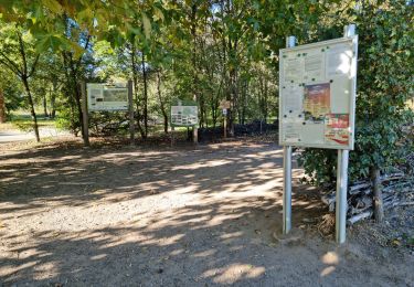 Tocht Stappen La Ville-aux-Dames - Île de la Métairie à La Ville-aux-Dames - Photo