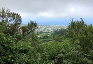 Tour Wandern Les Avirons - Sentier des ouvriers 20190224 - Photo