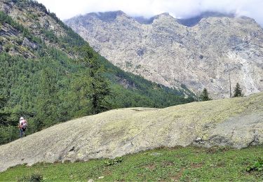 Excursión A pie Balme - IT-213 - Photo