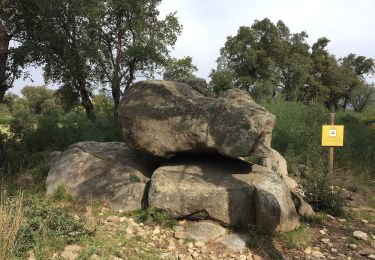 Tocht Te voet Capmany - Itinerari megalític de Campmany - Photo