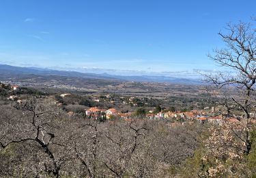 Tocht Stappen Montesquieu-des-Albères - Montesquieu des Albères - Photo