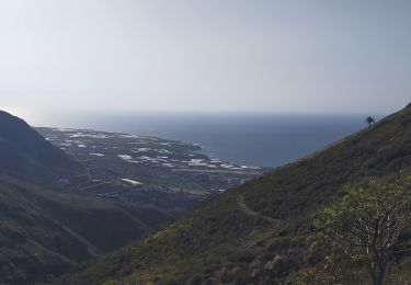 Tocht Stappen Tegueste - Cruz del Carmen - Bajamar PR-TF12 - Photo