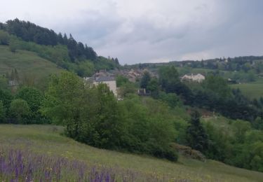 Excursión Senderismo Bédouès-Cocurès - Stevenson Bedouès Barre des Cévennes  - Photo