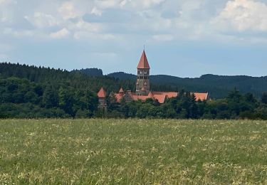 Tocht Stappen Kiischpelt - Escapardenne Eisleck Trail: Kautenbach - Clervaux - Photo