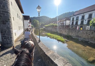 Trail Horseback riding Isaba/Izaba - Izaba - xxx - Photo